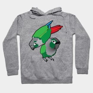 Green Cheek Conure Pair of Parrots Hoodie